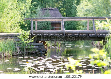 Small wooden bridge over the lake