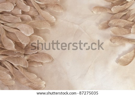 dry fall seeds on an old handmade paper, vintage background