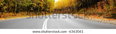 autumn road panorama
