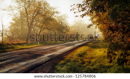 Traffic on the road through forest in sunset