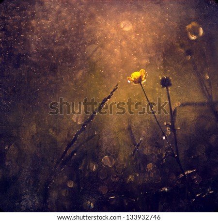 Vintage flower. Antique style photo of yellow flower in rain with grunge old paper texture.