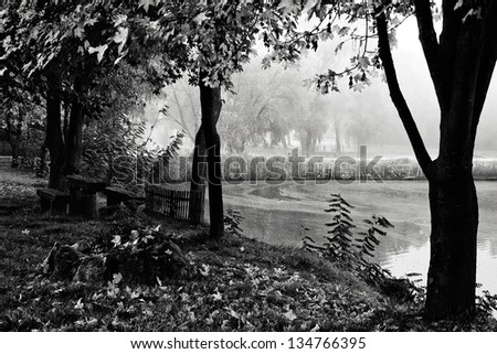 Black and white landscape with lake and autumn forest.