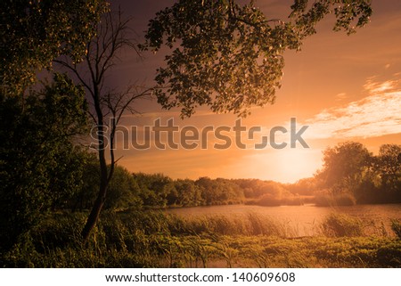Landscape with lake and huge tree in sunset with ray of sunshine