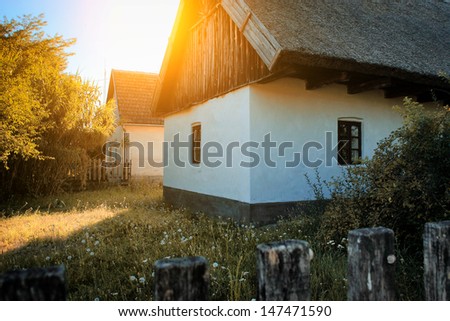Dandelion field with small house in sunset