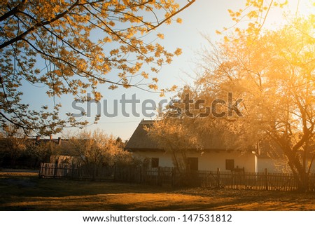 Little house in the forest