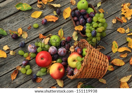 Close up of mixed vegetables. Autumn still life.