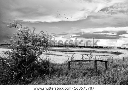 Black and white photo of rural scene