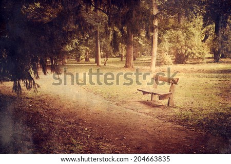 Grunge effected photo of old bench in the forest