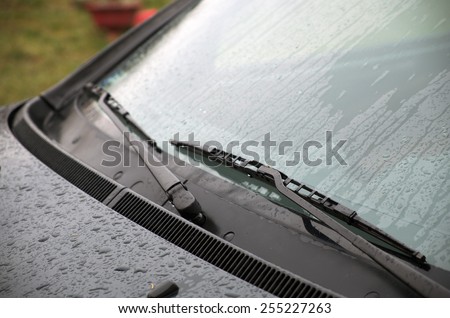 Wet windshield wiper