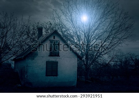 Spooky house in the forest at night