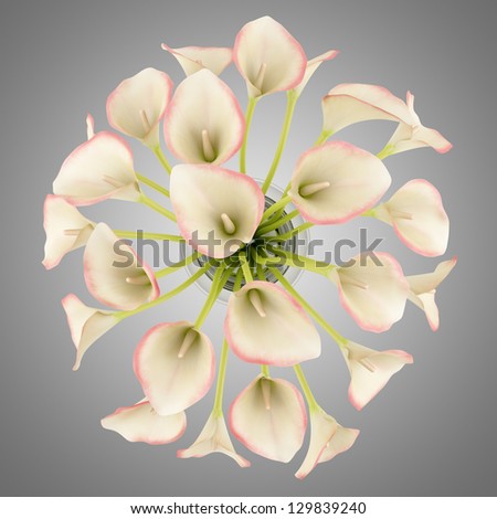 top view bouquet of calla lilies in glass vase isolated on gray background