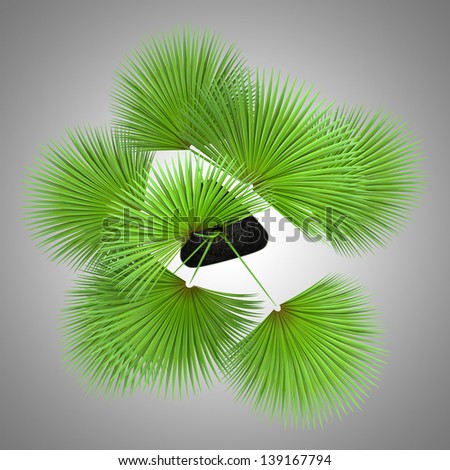 top view of palm tree in pot isolated on gray background