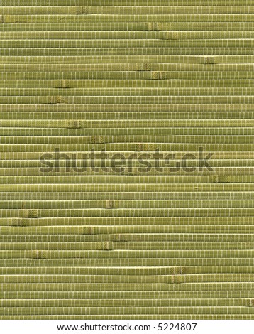 bamboo wallpaper. amboo wallpaper texture
