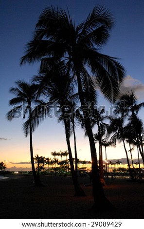 Silhouetted palm trees with a sunset backdrop in Hawaii\'s Waikiki Beach.