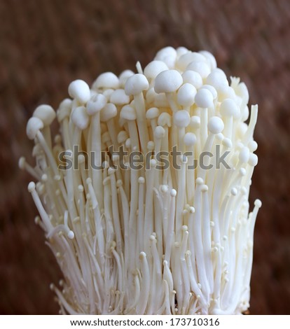 Mushroom, group of golden needle Mushroom