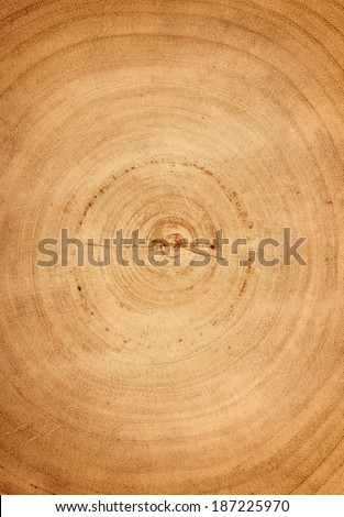 wood rings texture background