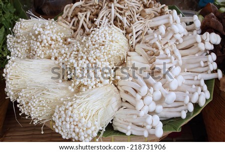 mushrooms in a basket for sale at a farmer\'s market