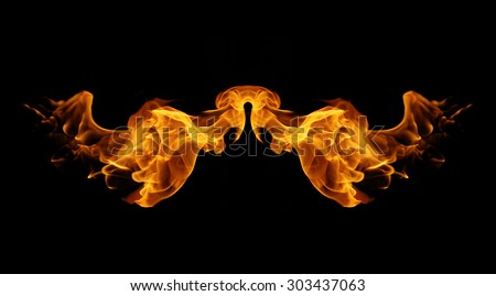 abstract fire flames resemble wing on black background