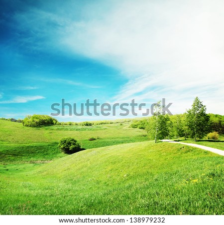 Landscape with green grass and trees in the sun