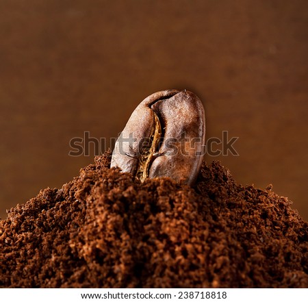 Coffee beans on  pile of ground coffee