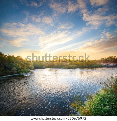 Dawn on the river flowing in the forest under the beautiful sky