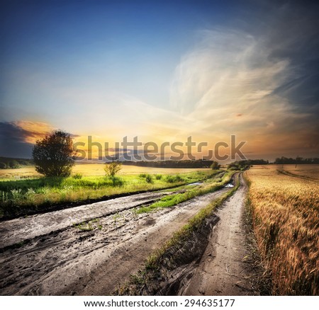 Country road among fields with ears at sunset sky