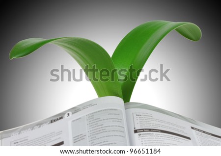 An open book to the growing leaves of lily isolated on gray  background