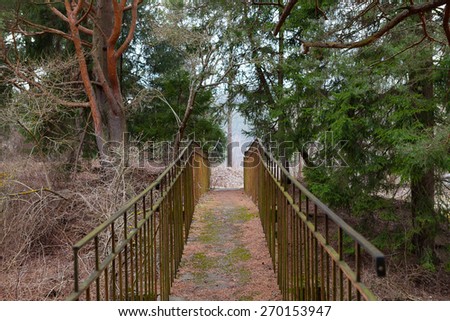 Romantic old bridge in a pine forest