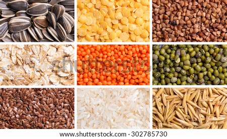 Cereal background ( rice, buckwheat, lentils and oats )
