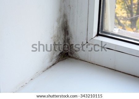Mold on the window in the house