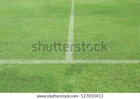 Green grass white line football pitch