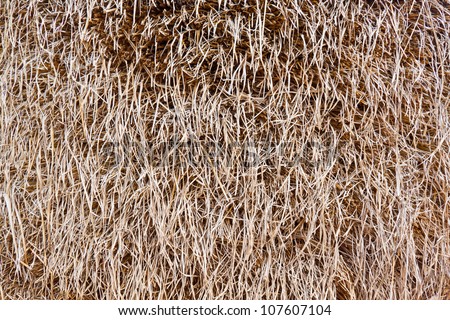 Close up of stack of brown rice straw texture