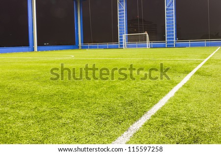 Indoor Football (soccer) goal and field