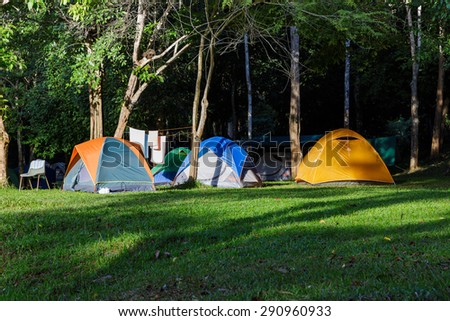 Dome tents of tourist  in forest camp