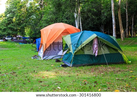Dome tents of tourist in forest camping site