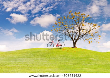 Silk Cotton flower tree\
on green grass field in clear sky and a bicycle on the grass field