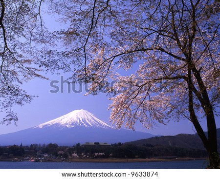 Lakeside view of Mount Fuji in Spring with cherry blossoms