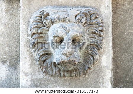 Sculpture of a lion\'s head on the wall of a building in Lvov, Ukraine