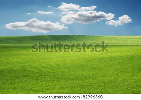 Beautiful landscape - green grass and clouds