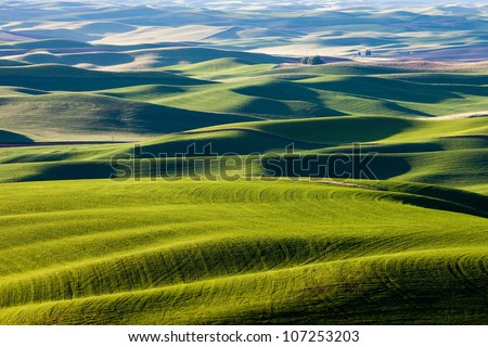 Rolling Hills and Fields
