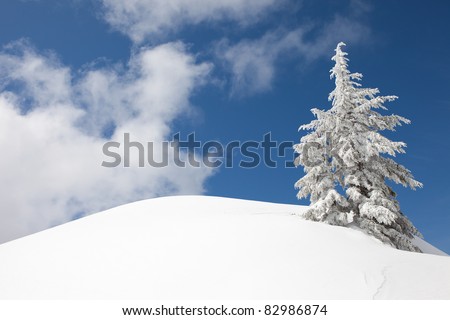 Snow-covered Trees on Snow Mountain