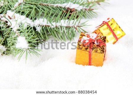 branch of Christmas tree with box gift golden