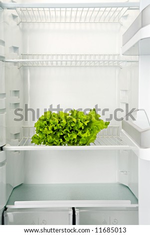 The bunch of green fresh salad lays in an empty refrigerator