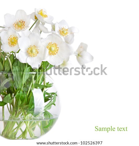 Jasmine Flower Picture on Beautiful Spring Flowers Jasmine In Vase Isolated On White Stock Photo