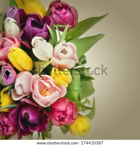 Beautiful tulips bouquet. Spring Flowers