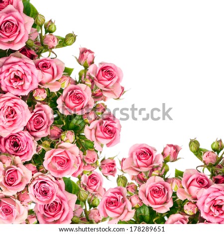 Beautiful Roses Bouquet Flowers Background Beautiful Roses Bouquet Flowers Background