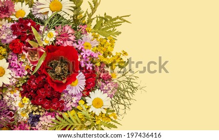 Beautiful Bright Wild flowers bouquet background. Cornflower, camomile, carnation, hand bell, poppy