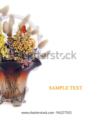 Still life with natural dry field flowers. Vase with dried flowers isolated on white background