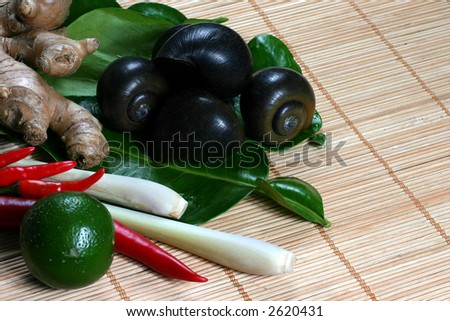 traditional food of large size edible snail with lemon leaf, chilli, lemongrass and ginger