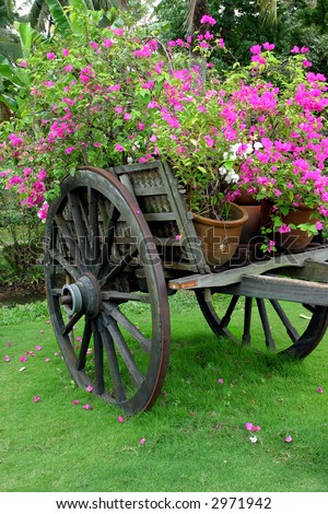 cart with full of flowers